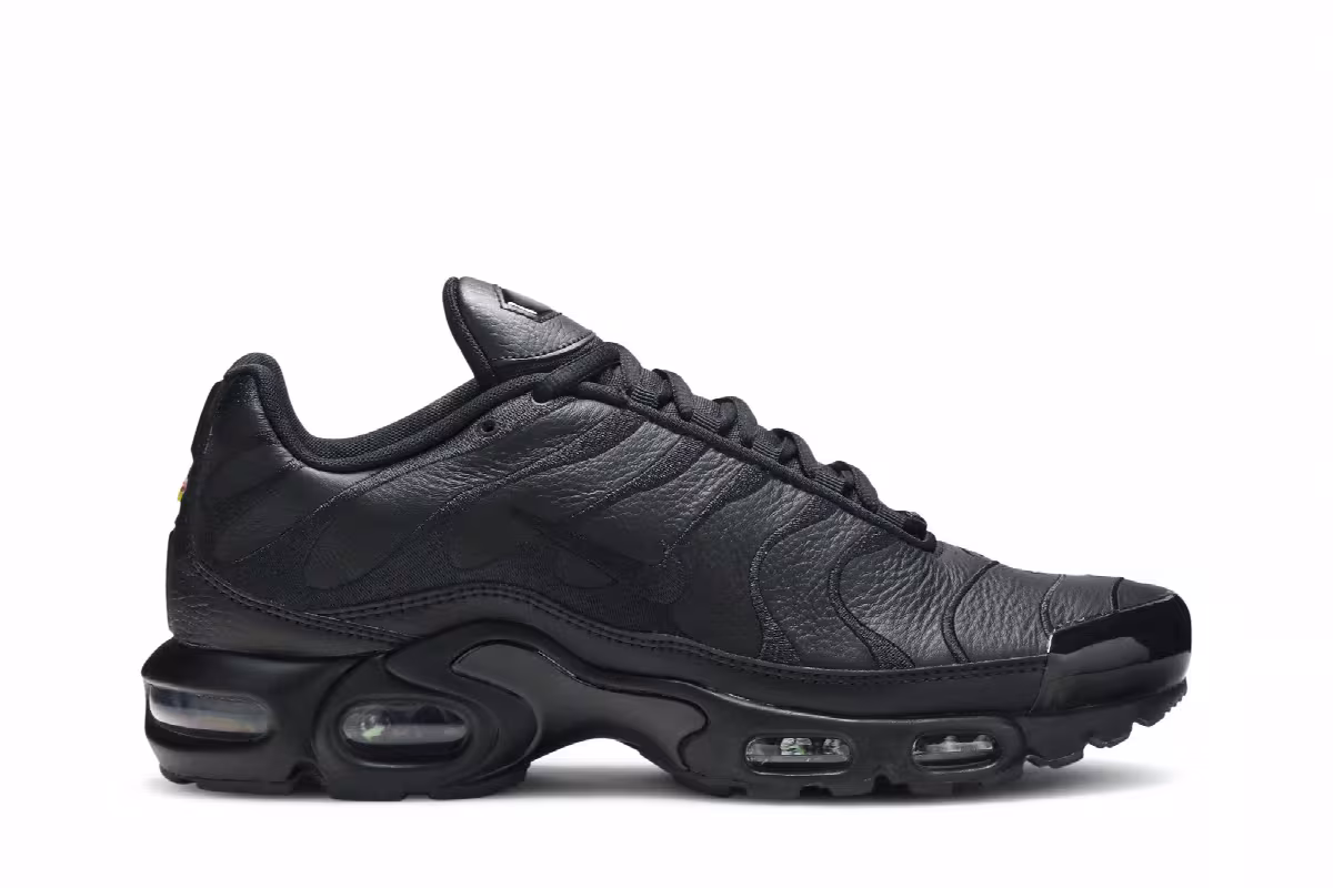 Nike Air Max Plus TN Triple Black, view 2