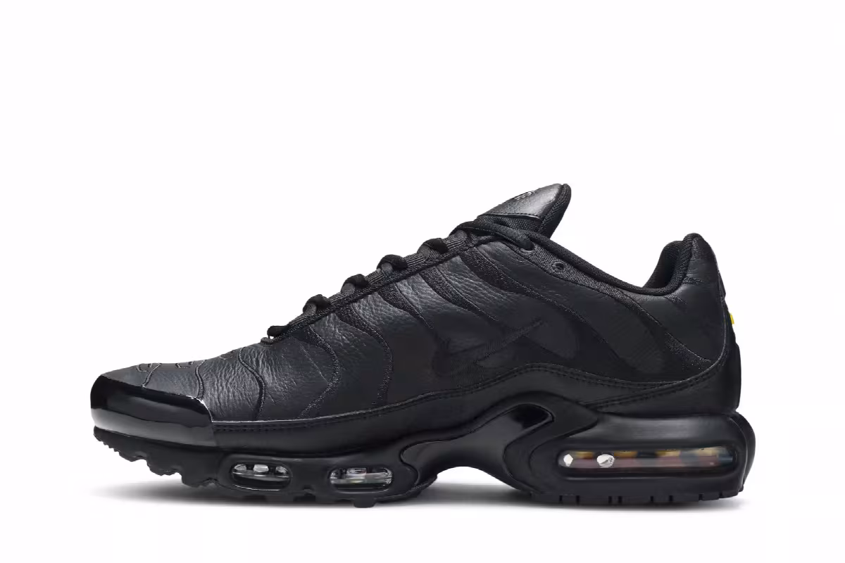 Nike Air Max Plus TN Triple Black, view 4
