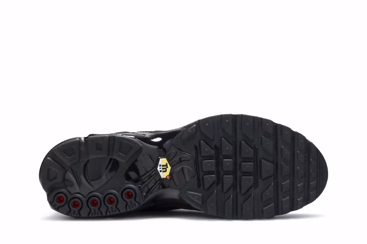 Nike Air Max Plus TN Triple Black, view 5