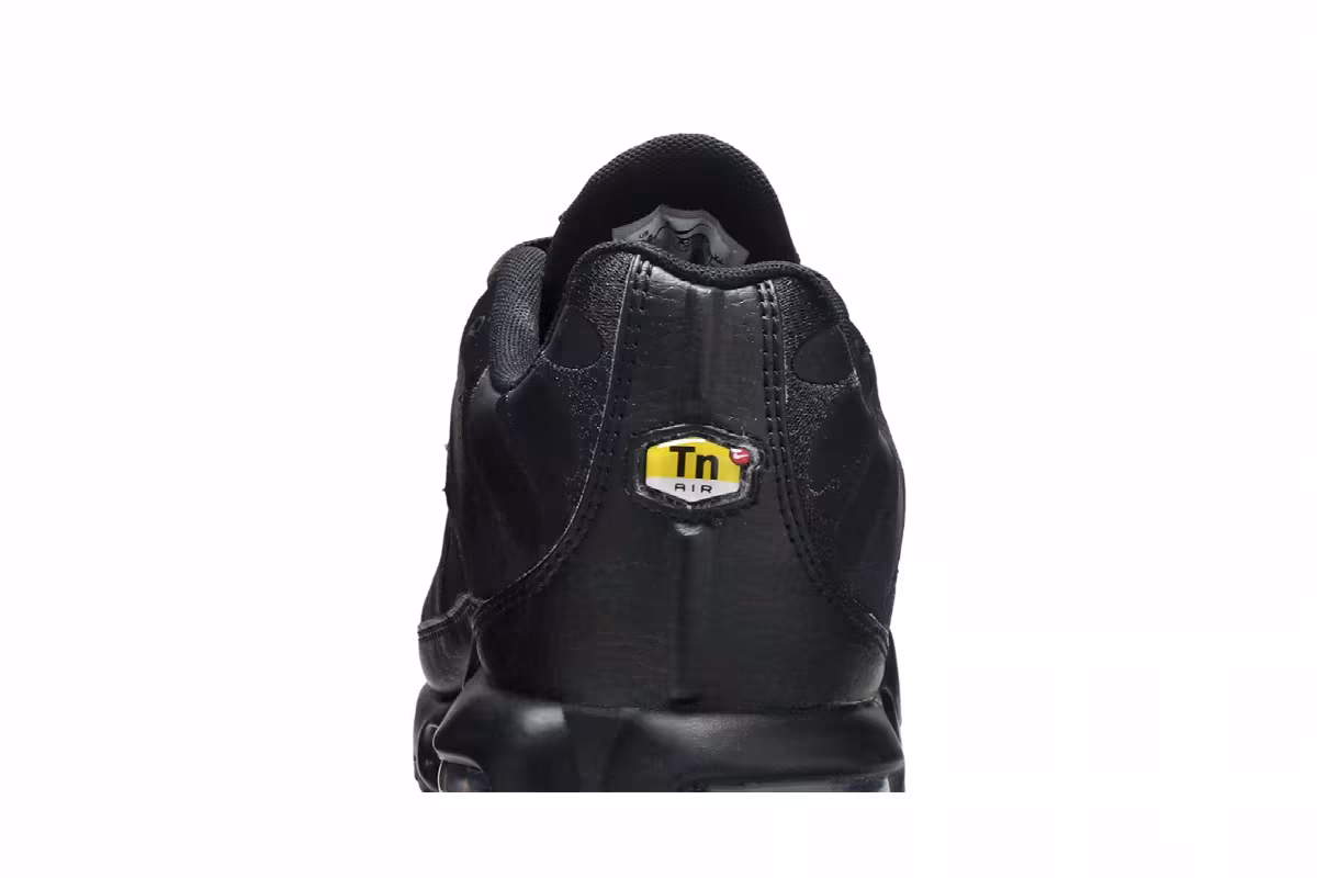 Nike Air Max Plus TN Triple Black, view 8