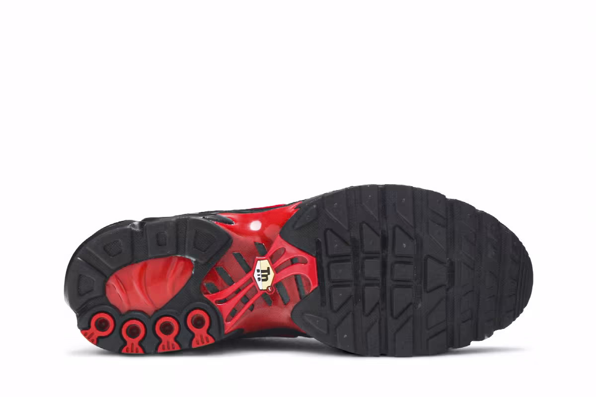 Nike Air Max Plus Black University Red Gradient, view 5
