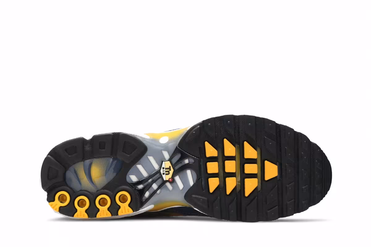 Nike Air Max Plus Wave Grid, view 5