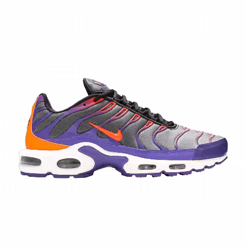 Nike Air Max Plus 'Color Flip'