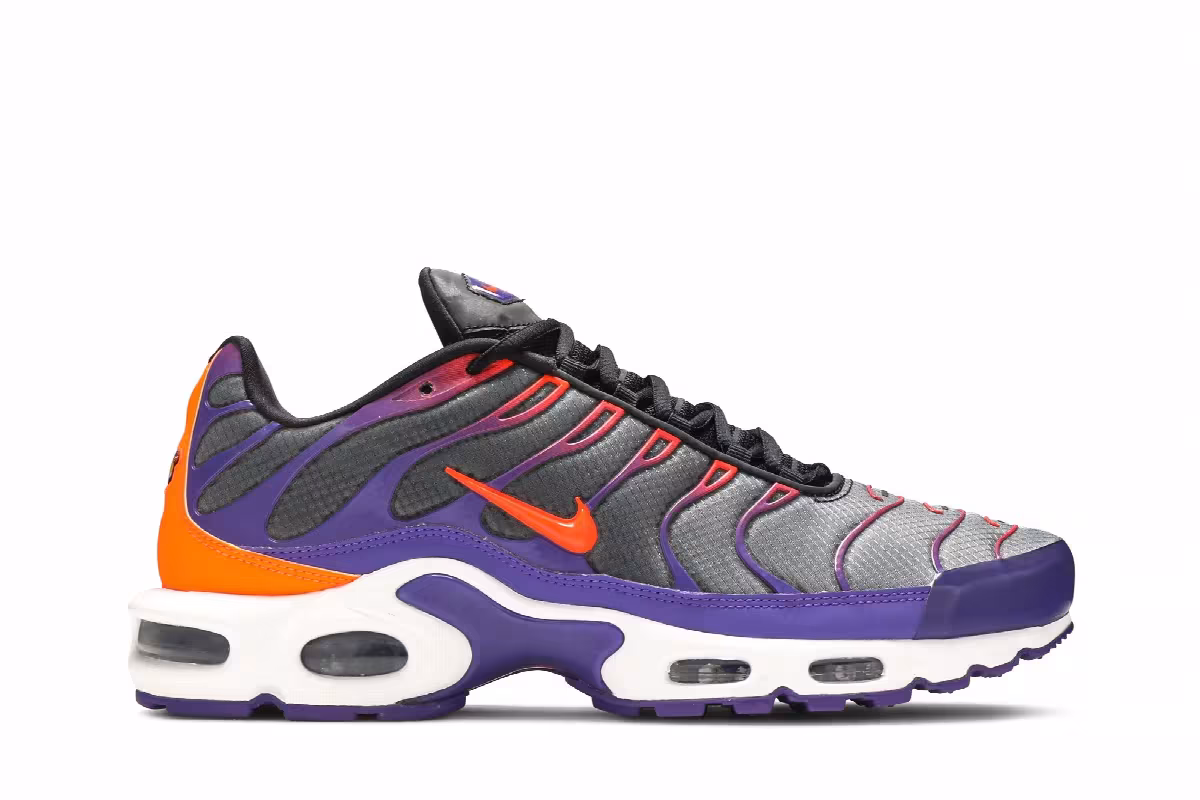 Nike Air Max Plus Color Flip, view 2