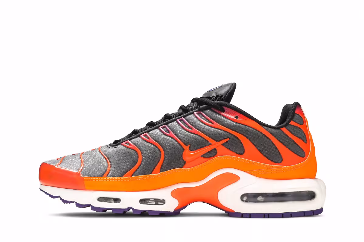 Nike Air Max Plus Color Flip, view 4