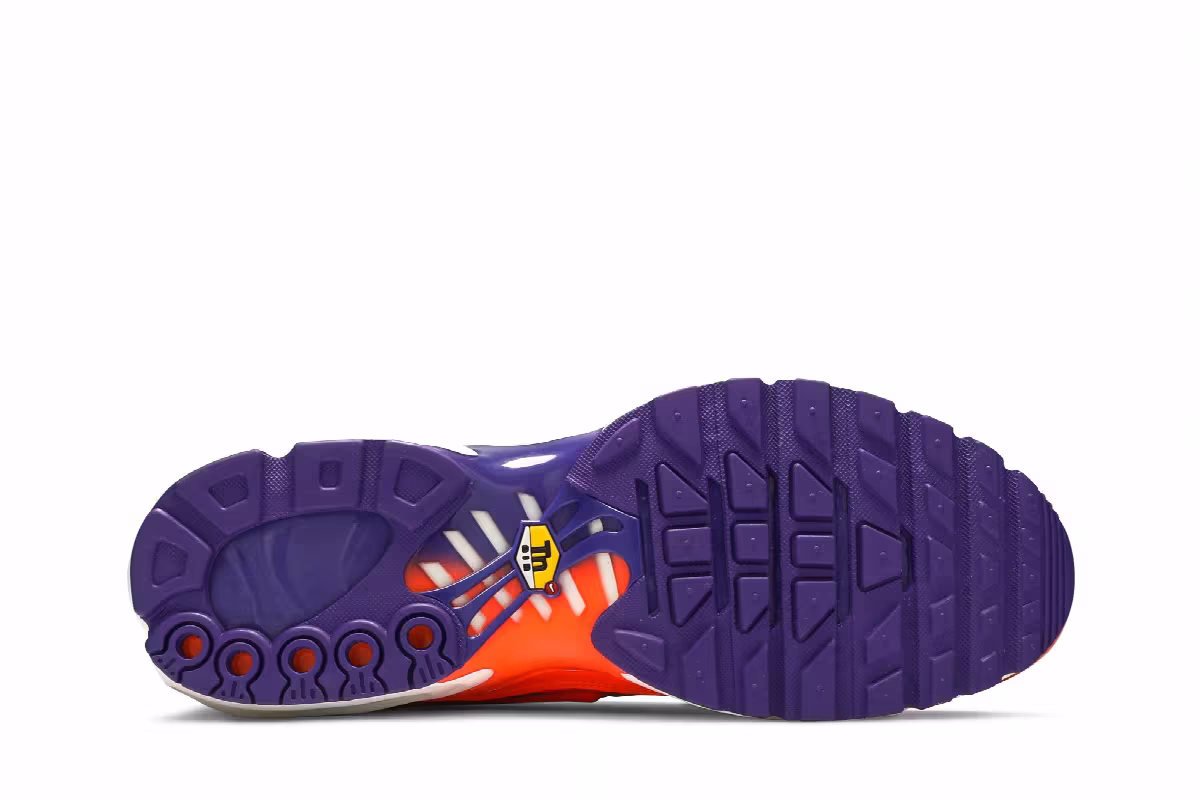 Nike Air Max Plus Color Flip, view 5