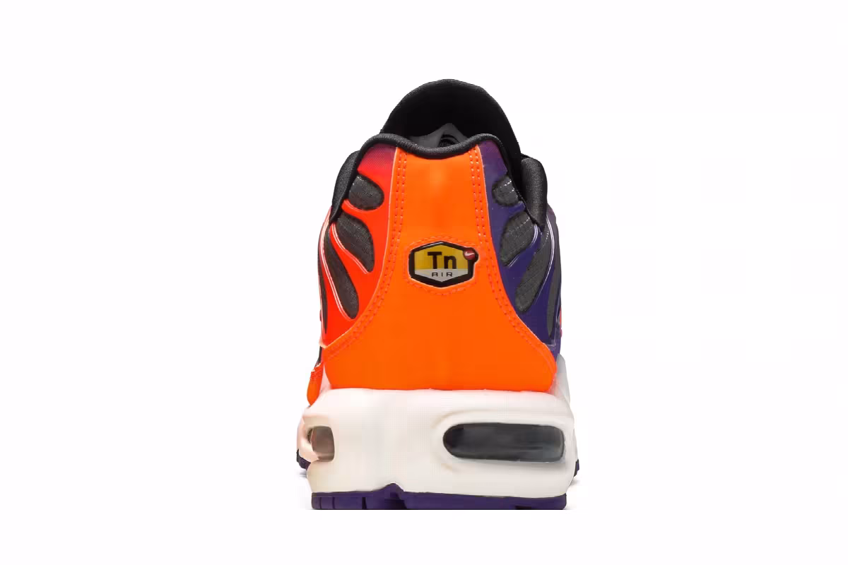 Nike Air Max Plus Color Flip, view 8