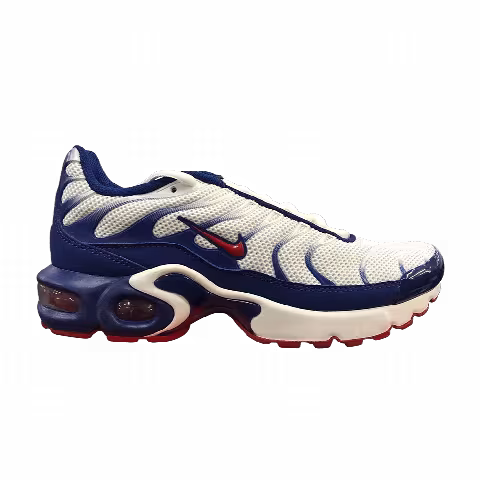 Nike Air Max Plus GS 'USA'