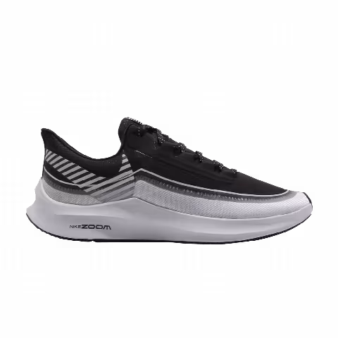 Nike Zoom Winflo 6 Shield 'Reflect Silver'