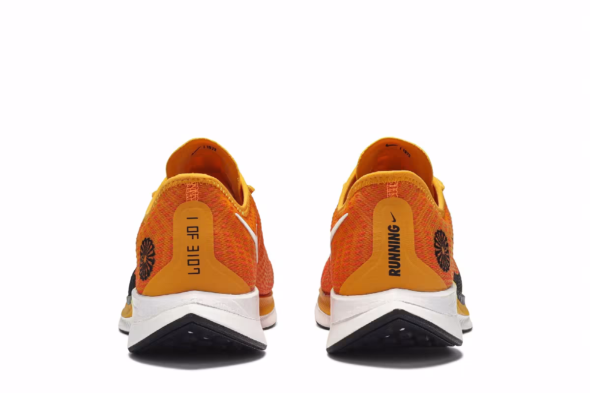 Nike Zoom Pegasus Turbo 2 Blue Ribbon Sports, view 7