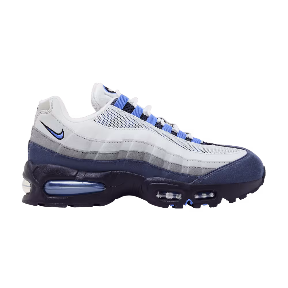 Nike Air Max 95 Photon Dust Sapphire Raisin