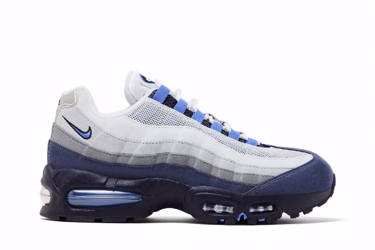 Nike Air Max 95 Photon Dust Sapphire Raisin, view 2