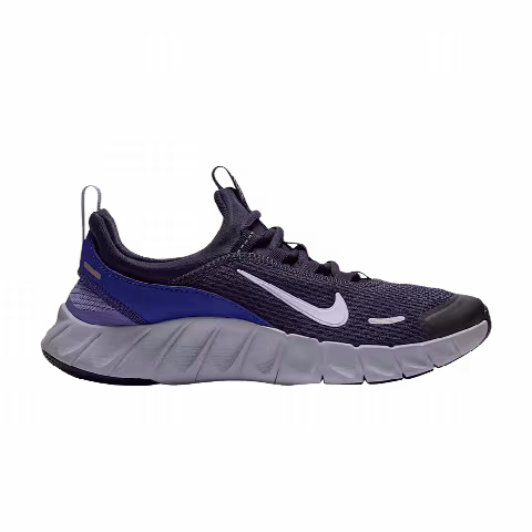 Nike Free Ride GS 'Purple Dynasty Purple Pulse Persian Violet Palest Purple'