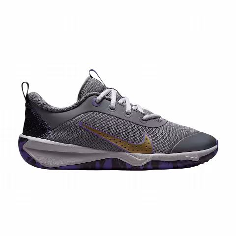 Nike Omni Multi-Court Indoor Court GS 'Smoke Grey Action Grape Light Smoke Grey Metallic Gold'