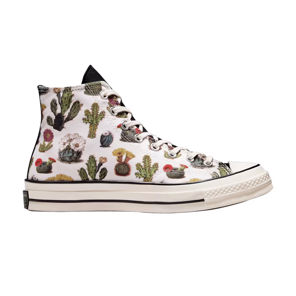 Converse Chuck 70 High Succulents