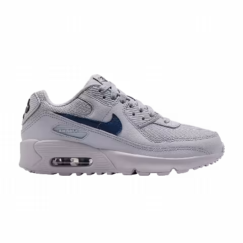 Nike Air Max 90 GS 'Wolf Grey'