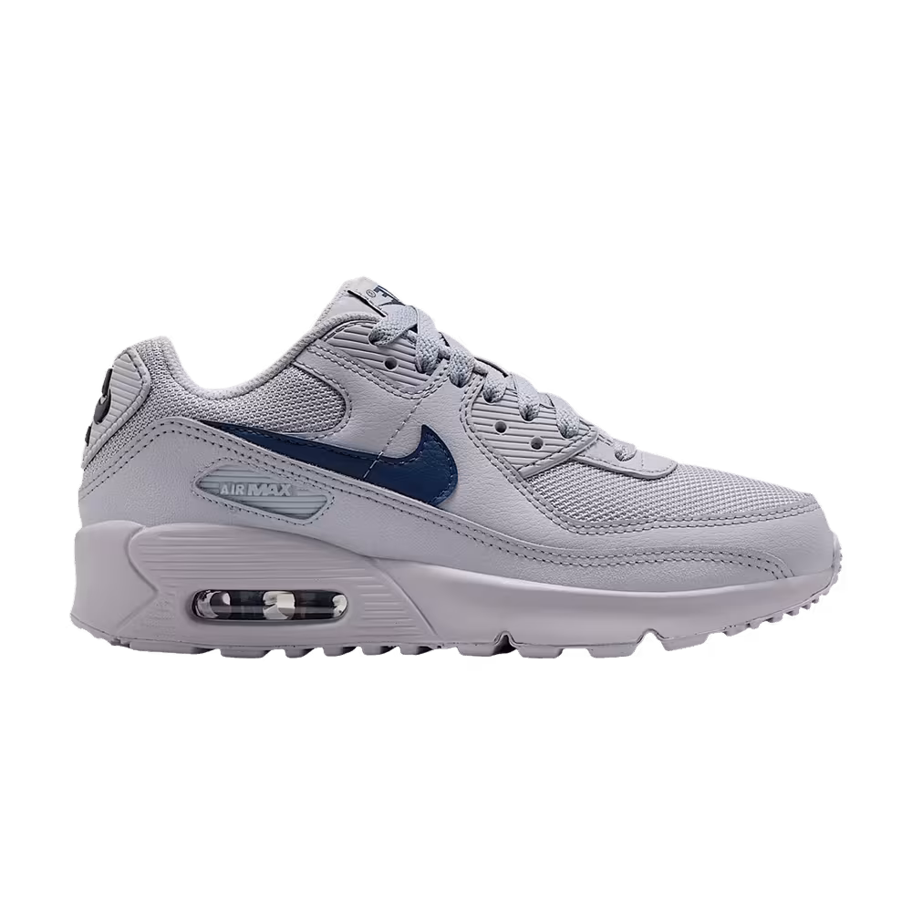 Nike Air Max 90 GS Wolf Grey