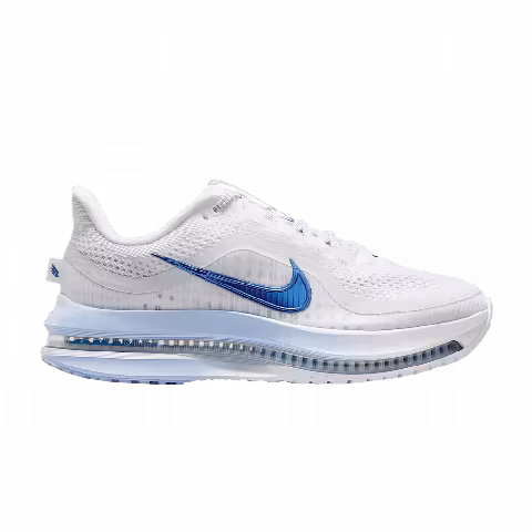 Nike Wmns Pegasus Premium 'White Aluminum'