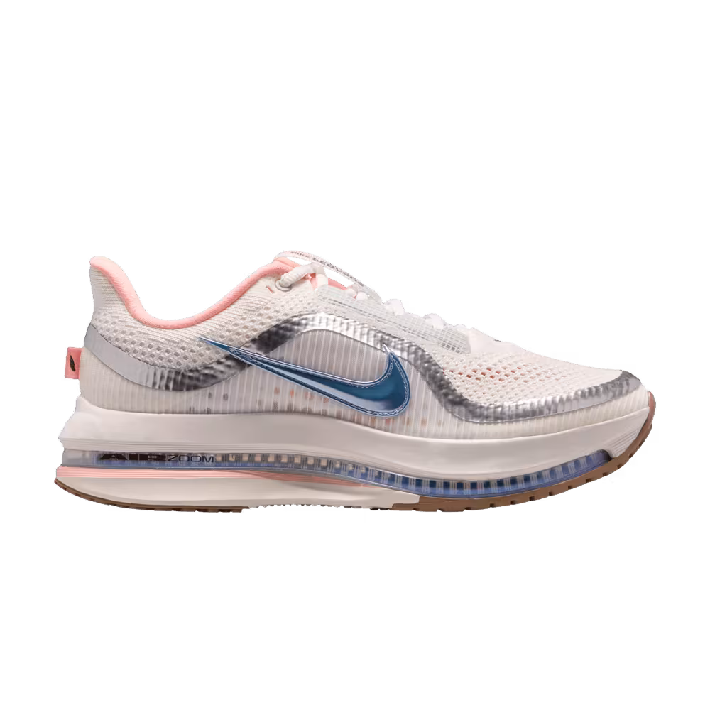 Dick's x Nike Women's Pegasus Premium Now And Then