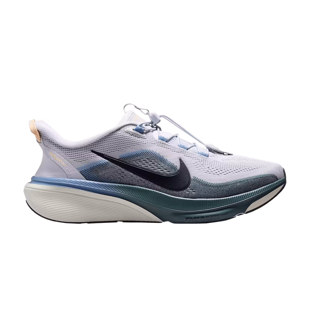 Nike Pegasus 42 Easyon Pure Platinum