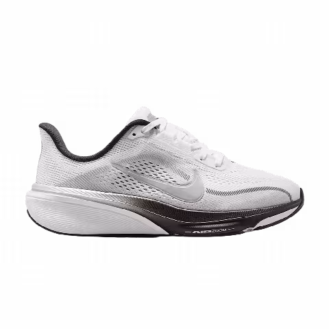 Nike Pegasus 42 GS 'Summit White Metallic Silver'