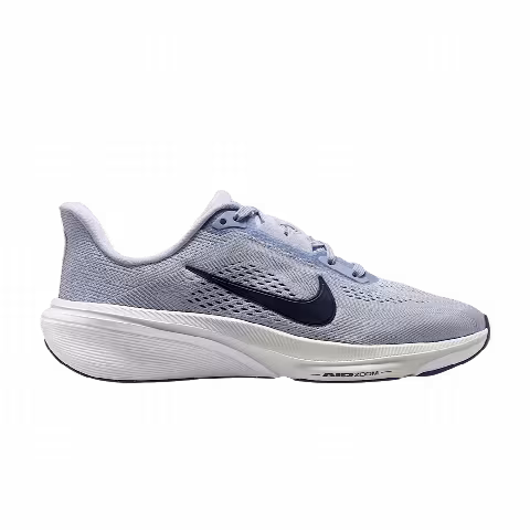 Nike Pegasus 42 GS 'Football Grey'