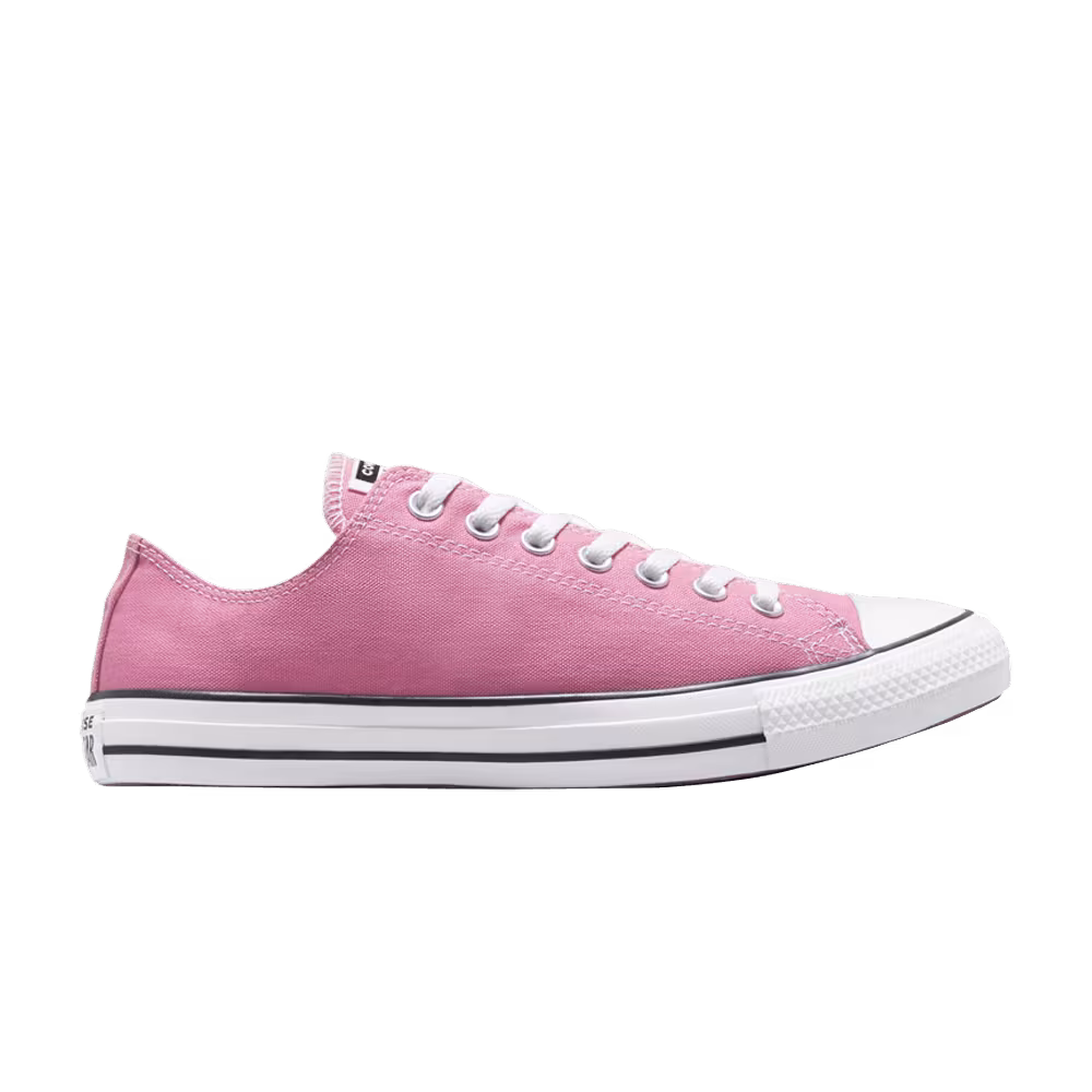 Converse Chuck Taylor All Star Low Magic Flamingo
