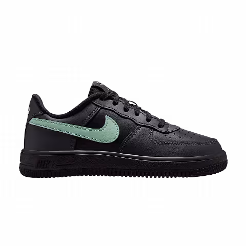 Nike Force 1 Low PS 'Black Anthracite'