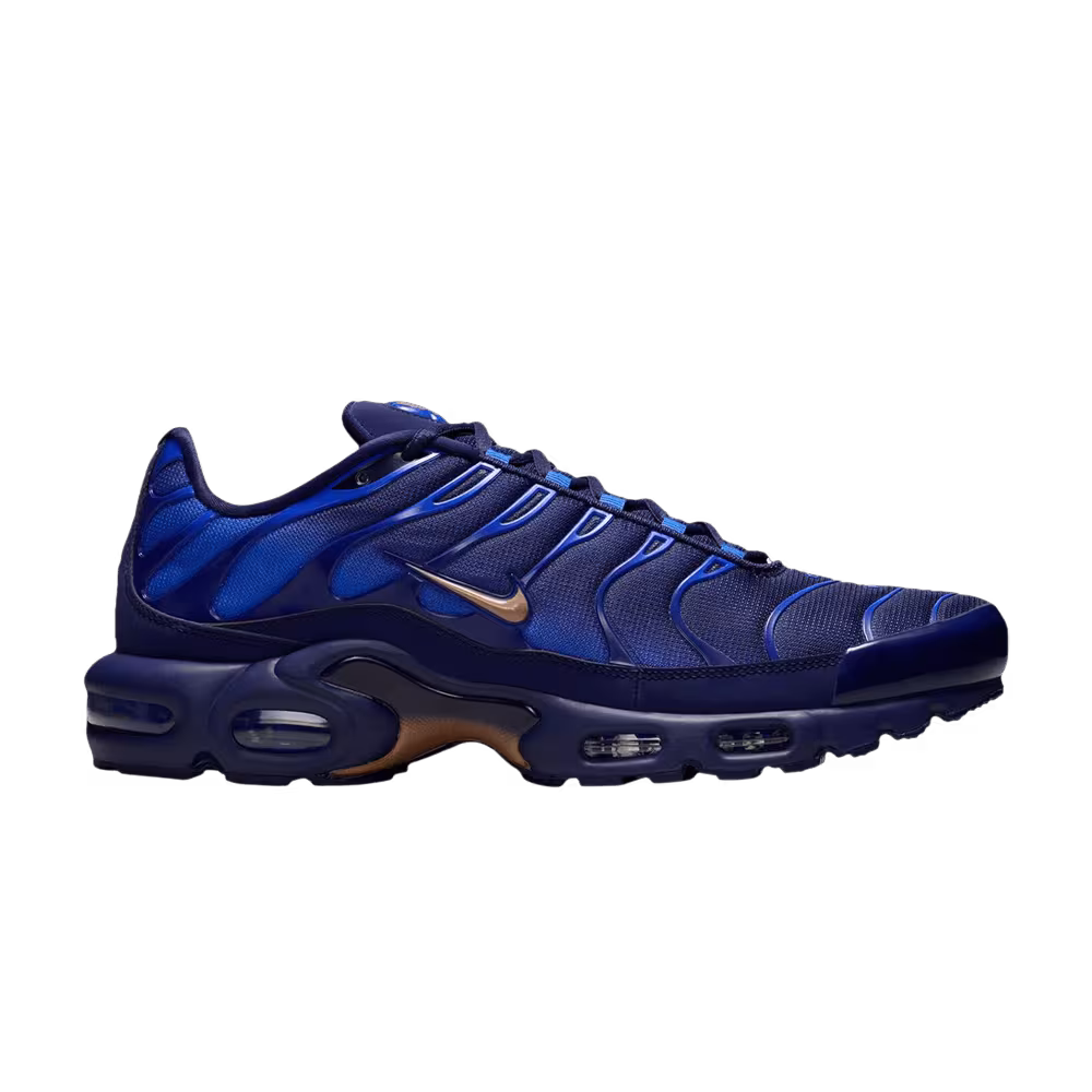Nike Air Max Plus French Football Federation