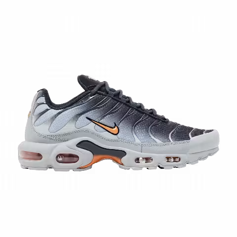 Nike Air Max Plus 'Light Smoke Grey'