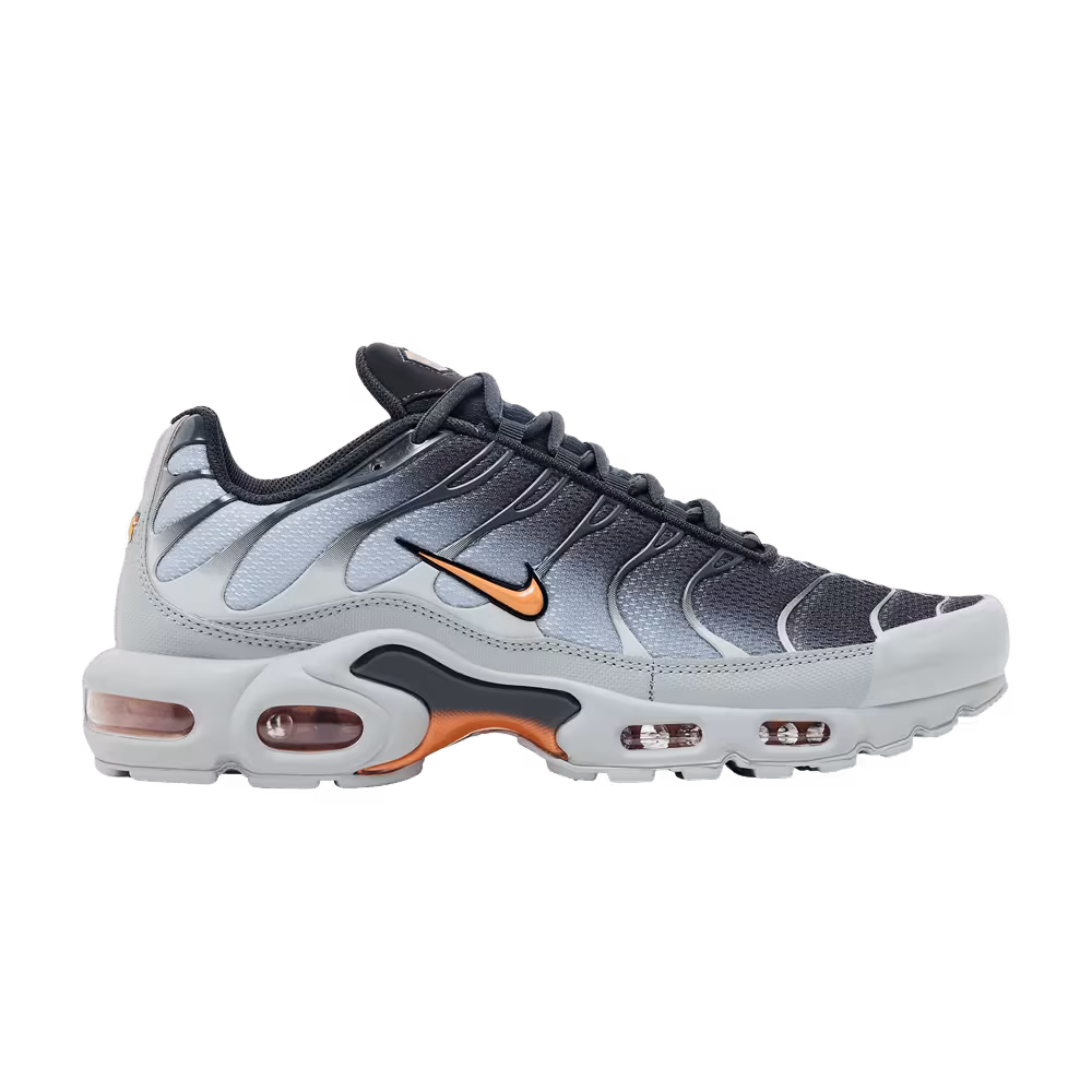 Nike Air Max Plus Light Smoke Grey