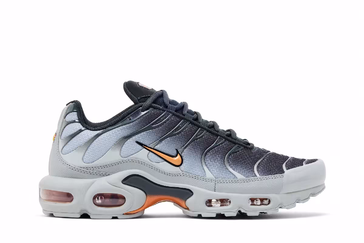 Nike Air Max Plus Light Smoke Grey, view 2