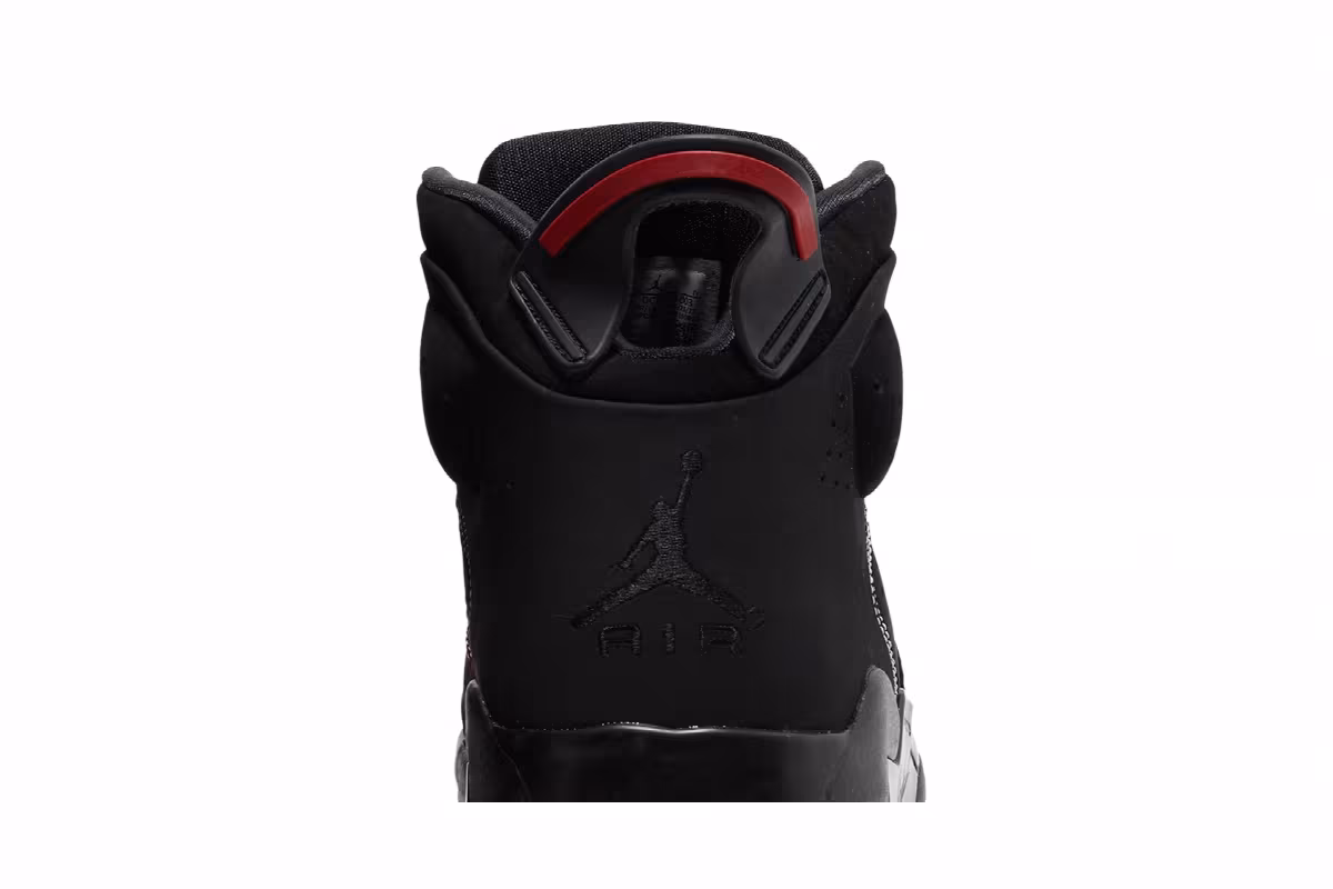 Air Jordan 6-17-23 Black Dark Driftwood, view 8
