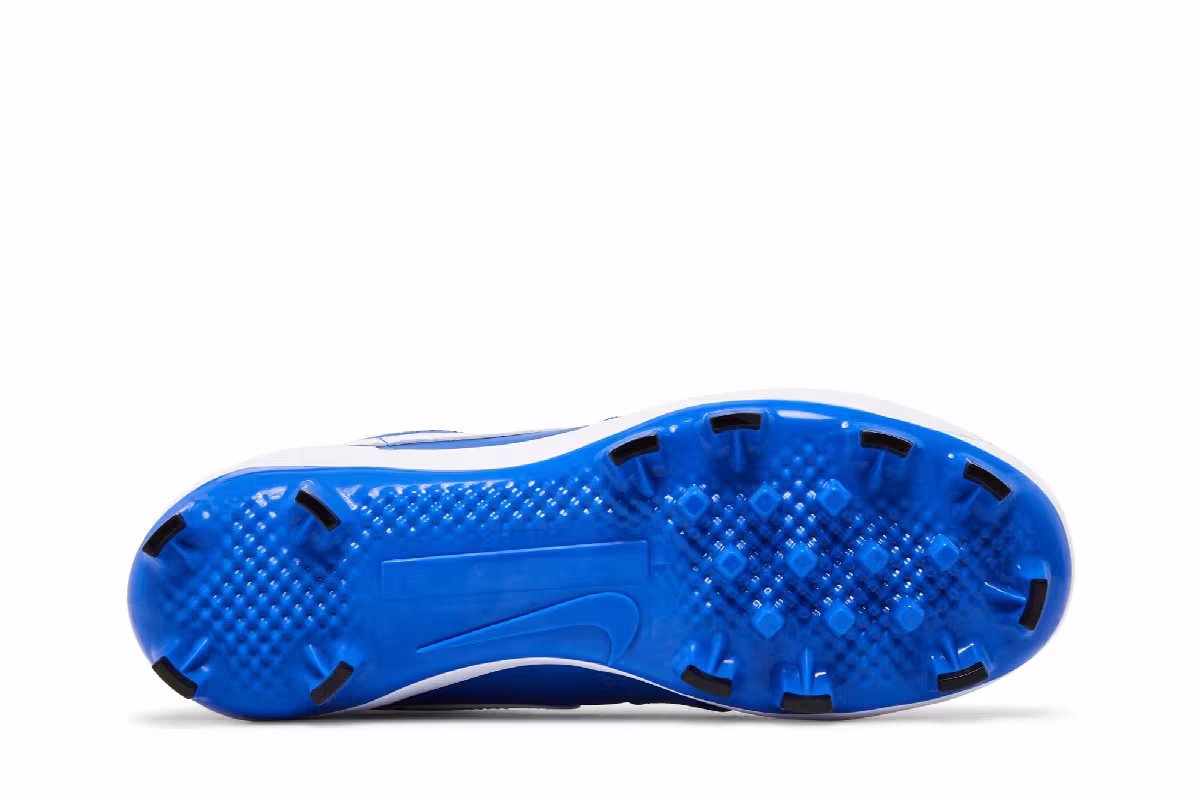 Air Jordan 1 MCS Low Game Royal White, view 5