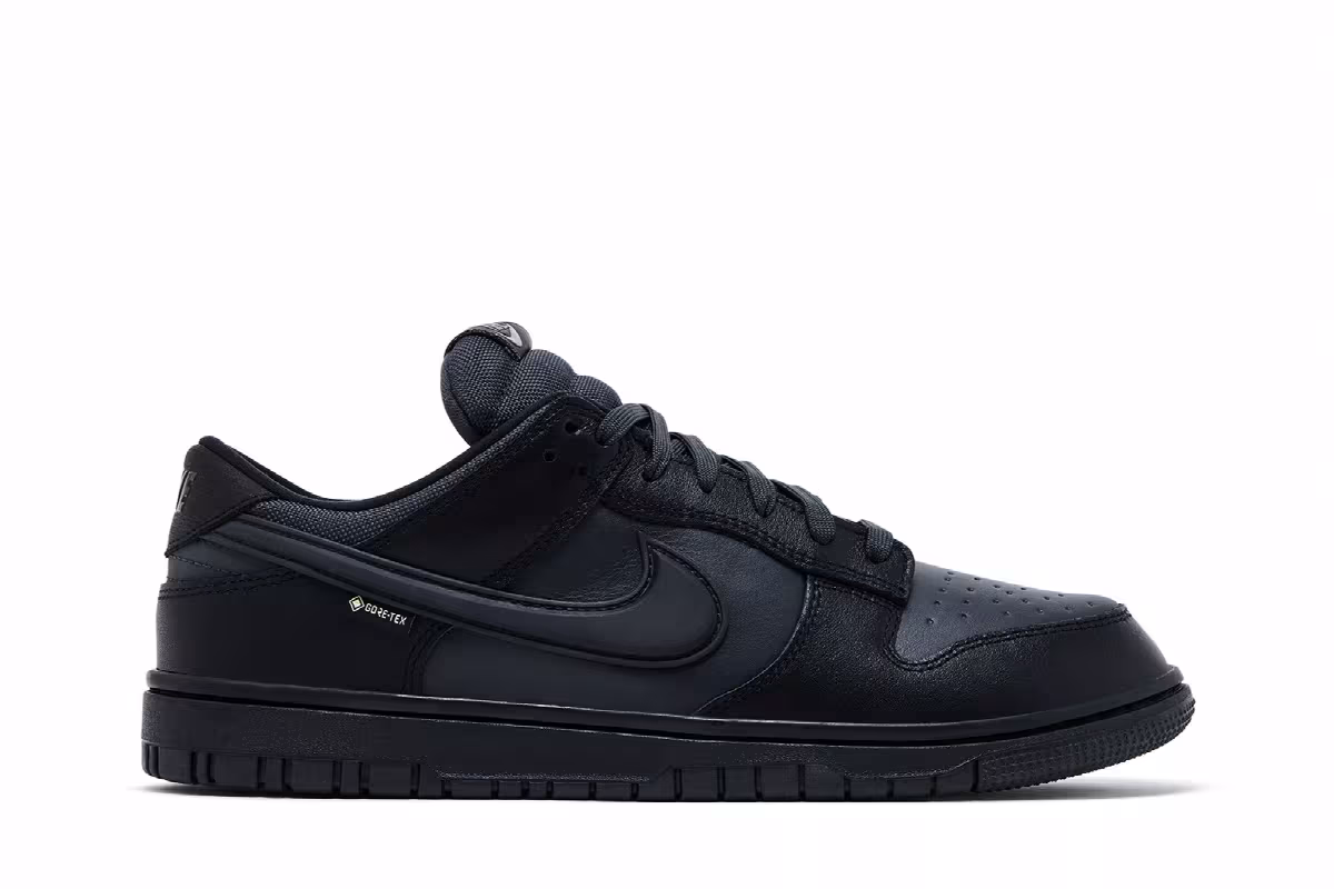 Nike Dunk Low GORE-TEX Triple Black, view 2