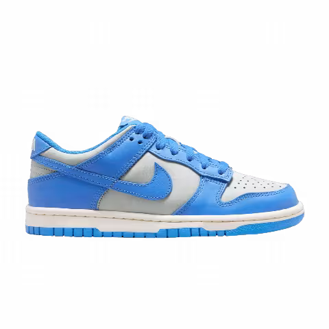 Nike Dunk Low GS 'Light Photo Blue Silver'