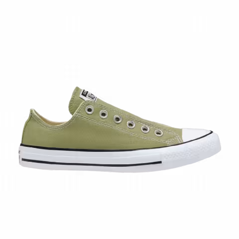 Converse Chuck Taylor All Star Slip Low 'Street Sage'