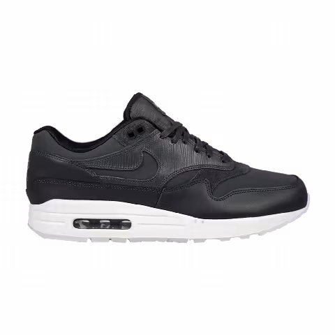 Nike Wmns Air Max 1 Premium 'Anthracite'