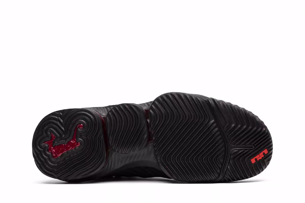 Nike LeBron 16 Fresh Bred, view 5