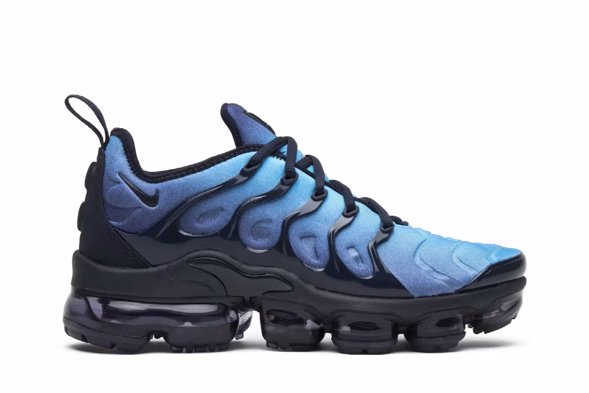 Nike Air VaporMax Plus Photo Blue, view 2