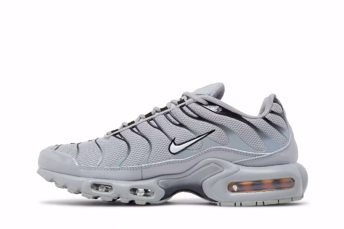 Nike Air Max Plus TN Wolf Grey, view 4
