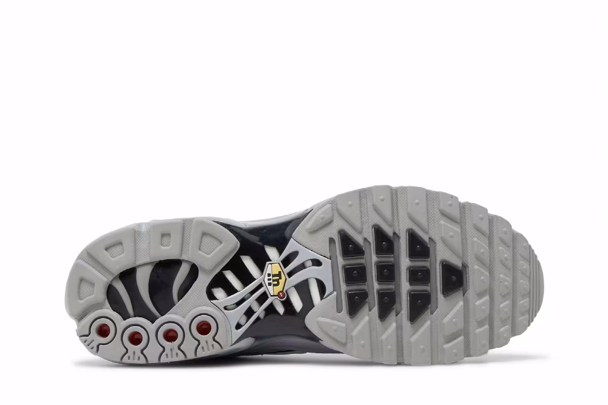 Nike Air Max Plus TN Wolf Grey, view 5