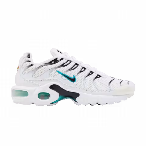 Nike Air Max Plus BG 'Dusty Cactus'