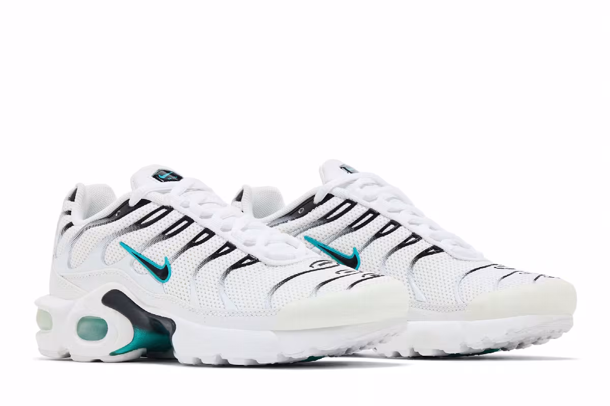 Nike Air Max Plus BG Dusty Cactus, view 9