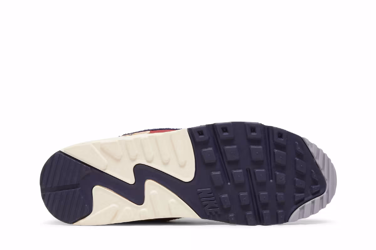 Nike Air Max 90 Varsity Pack, view 5