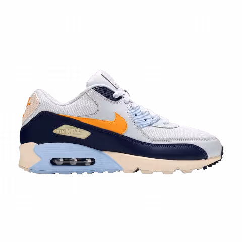 Nike Air Max 90 Essential 'Royal Tint'