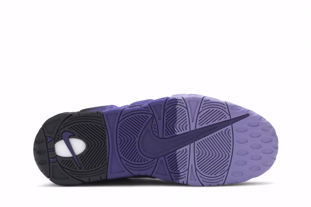 Nike Air More Money Court Purple, view 5