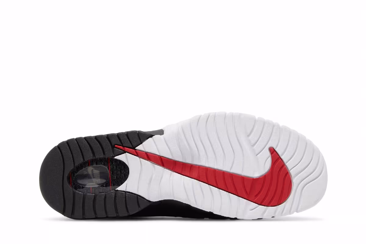 Nike Air Max Penny 1996 Olympics, view 5