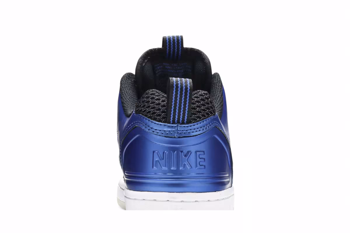 Nike Air Force 2 Low SB Rivals Pack, view 8