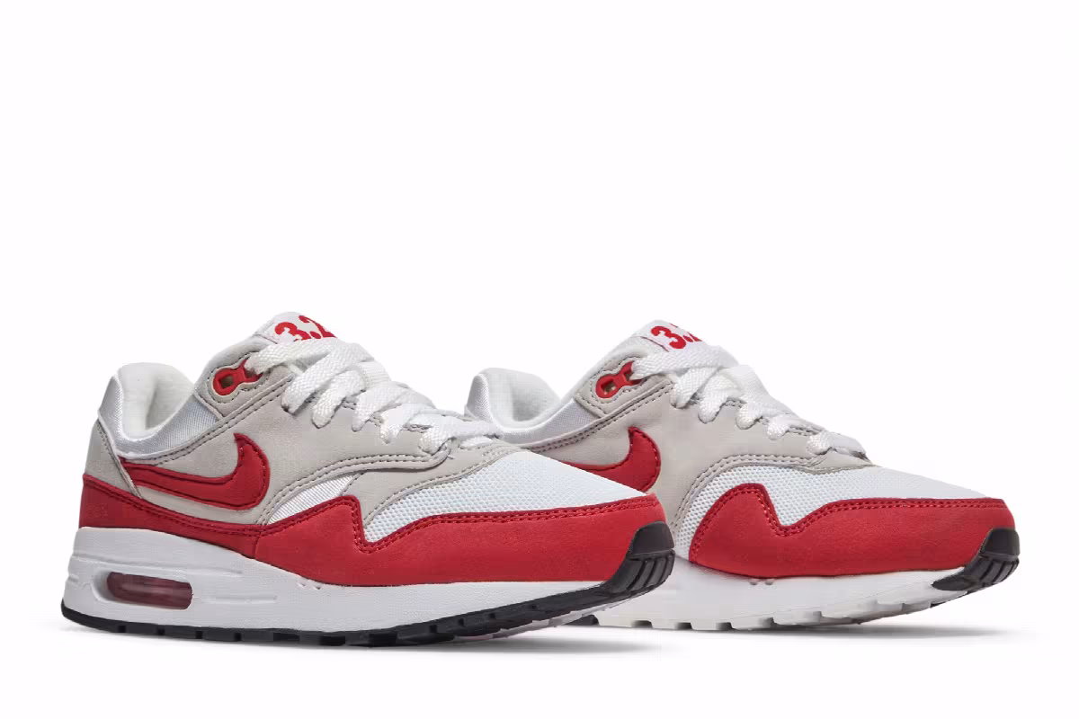 Nike Air Max 1 GS Air Max Day, view 9